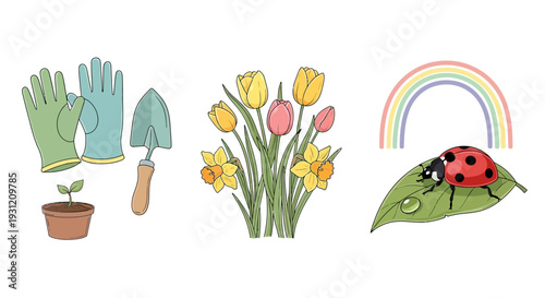 Vibrant spring gardening elements with flowers and ladybug