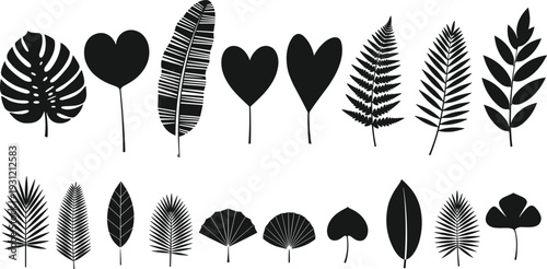 Collection of leaf silhouettes, botanical vector illustration, diverse plant species shapes, natural foliage design, decorative elements, black stylized leaves
