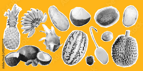 Vintage tropical exotic fruit collage in retro halftone style. Black and white illustrations durian, pineapple, passion fruit, rambutan, watermelon, mango, dragon fruit and more. Vector illustration
