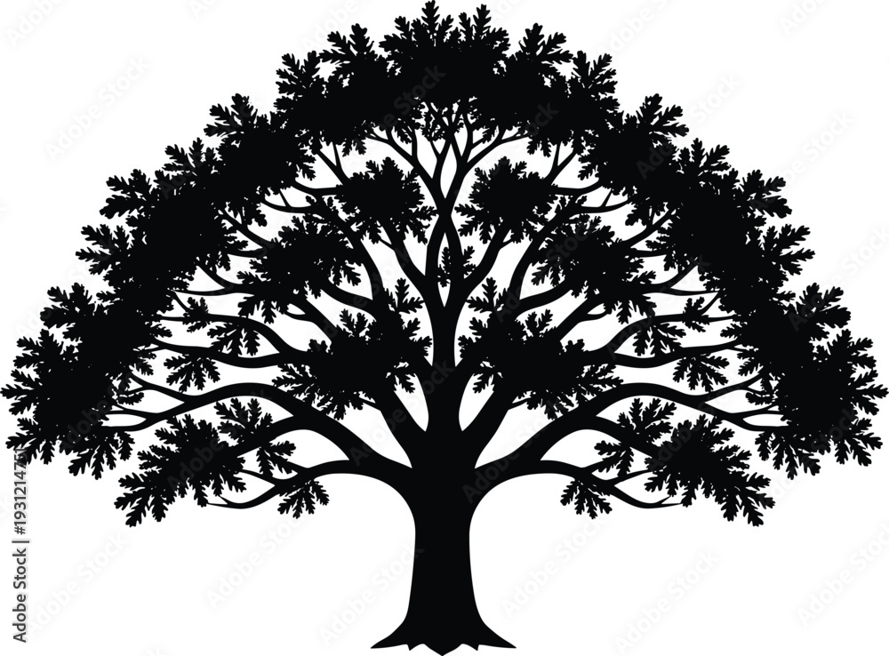 Obraz premium Silhouette of large deciduous tree symmetrical trunk canopy branches leaves balanced shape nature design illustration