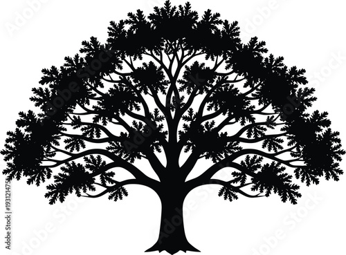 Silhouette of large deciduous tree symmetrical trunk canopy branches leaves balanced shape nature design illustration