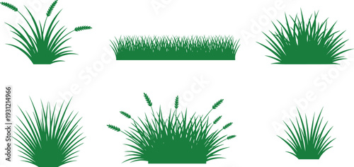 Grass clump silhouettes in varied styles, vector illustration showing tufts, patches, seed heads, natural ground cover for landscaping and design