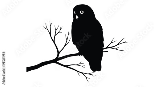 A black owl sitting on a tree branch isolated on white background, Vector