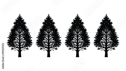 Four black silhouettes of pine trees on a white background isolated on white background, Vector