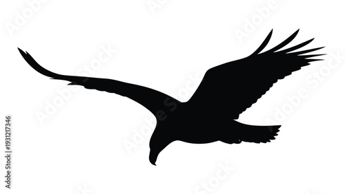 A black silhouette of a bird flying in the air isolated on white background, Vector