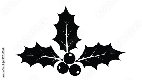 A black silhouette of holly leaves and berries isolated on white background, Vector