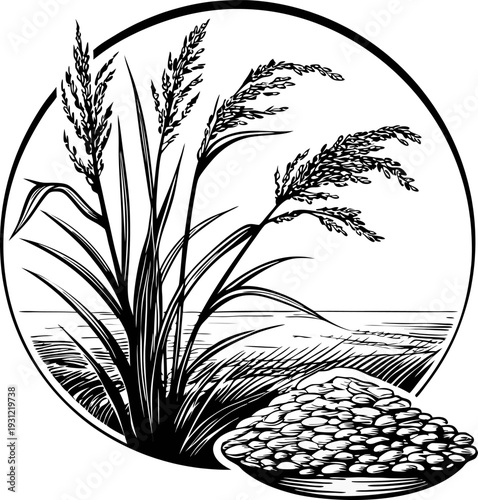 Rice plant with grain bowl agriculture harvest, cereal crop, natural food source and farming concept in black and white