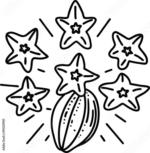 star anise spice and fruits illustration aromatic seasoning, herbal ingredient, cooking flavor concept