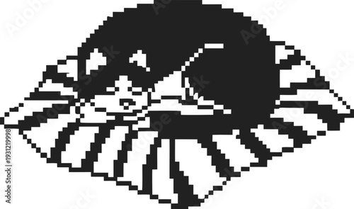 Pixel art black and white cat curled up sleeping on a striped pillow cozy resting digital illustration