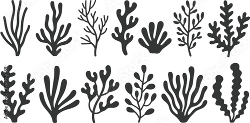 Seaweed silhouette collection with diverse marine plant shapes, showcasing underwater vegetation, ocean biodiversity, and artistic nature design