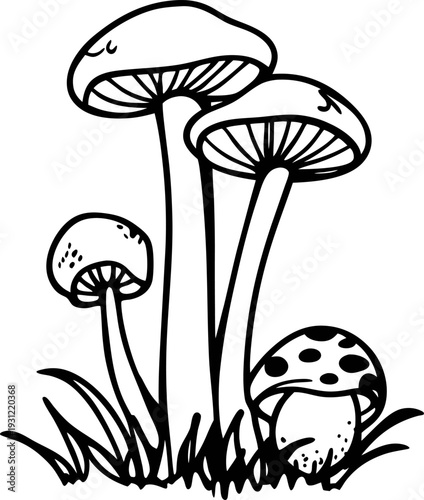 wild mushrooms cluster growing in grass natural fungi with caps and stems in woodland environment