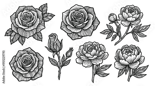 Floral bouquet set with roses and peonies in elegant hand drawn decorative woodcut technique