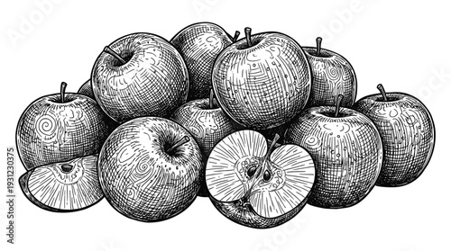 Pile of organic apples in vintage woodcut style with crosshatch shading and sliced section