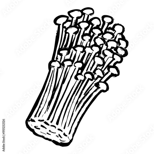 えのきの線画イラスト