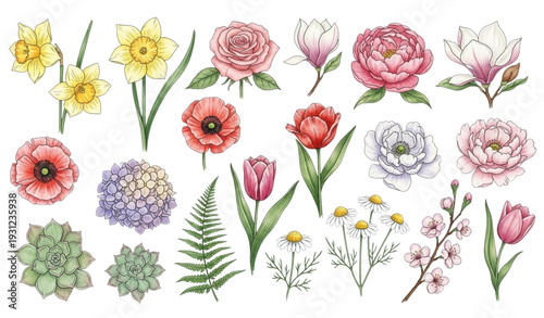 A colorful illustration of various flowers and plants on a white background