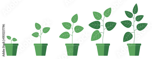 Plant Growth Stages Icon Set in Green Silhouette, vector illustration showing potted plants growing from seedling to mature, representing progress, development, ecology, agriculture