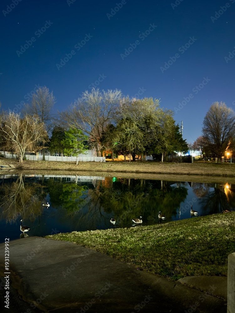 Fototapeta premium park at night. Night landscape. A pond with geese and a star sky. USA 