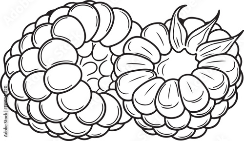 Raspberry Silhouette Vector Drawing of Two Fresh Berries with Leaves Healthy Food Icon for Web and Print