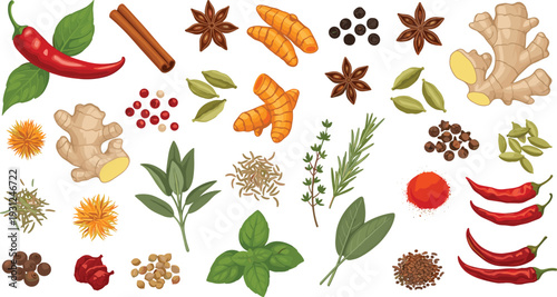 Herbs and Spices Collection Turmeric Ginger Chili Pepper and Aromatic Seasonings Vector Illustration Set