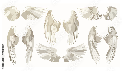 Golden Metallic Angel Wings Wide Open Line Art Vector Illustration