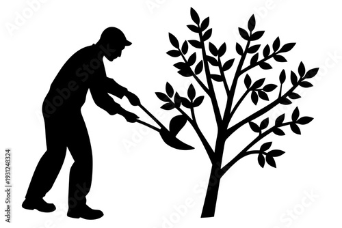Gardener pruning tree branch, man cutting plant with scissors, gardening maintenance, tree trimming silhouette vector illustration