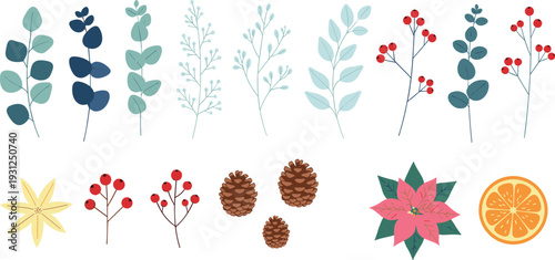 Winter Botanical Elements Collection with Pine Cones Berries Leaves Orange Slice and Festive Floral Decorations