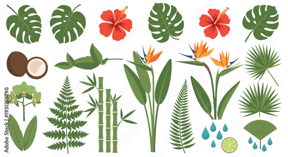 Naklejka premium Vibrant Tropical Botanical Elements Featuring Exotic Flowers Bamboo Ferns Coconuts and Lush Greenery for Nature Designs