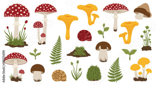 A Whimsical Collection of Forest Fungi and Woodland Elements Featuring Diverse Mushroom Varieties and Lush Greenery