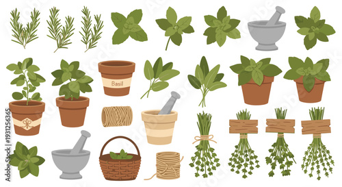 Collection of fresh herbs in pots and bunches with gardening tools like mortar and pestle and twine for culinary and aromatic uses