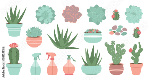Collection of various potted succulents and cacti with watering cans and spray bottles, perfect for home decor and gardening themes