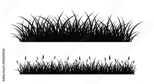 Detailed vector illustration showcasing two styles of natural grass and reed silhouettes for design