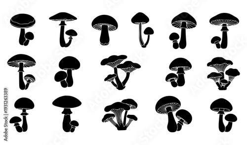 Mushroom silhouettes collection flat vector set of fungi icons isolated on white background