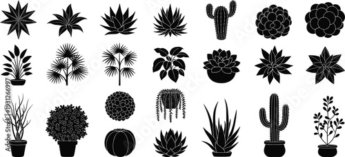 Large vector collection of black plant silhouettes featuring cacti succulents tropical palms and leafy houseplants isolated on white background for design