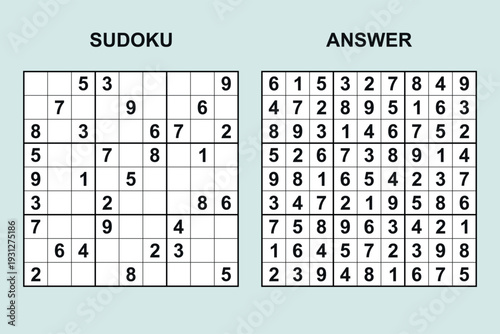 vector sudoku with answer 491, puzzle game with numbers