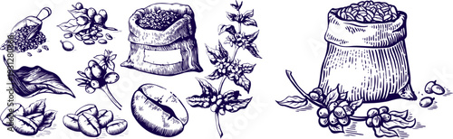 Hand-Drawn Coffee Bean Bag and Botanical Arabica Branches – Vintage Vector Illustration Set