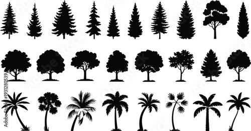 Tree silhouette collection, pine fir conifer, deciduous oak maple, tropical palm trees, forest landscape, botanical illustration, nature design, foliage comparison art