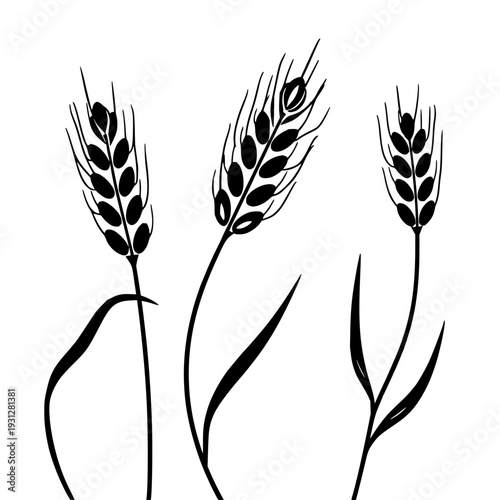 Elegant Black Vector Wheat Ear Silhouettes: Minimalist Agricultural Crop Icons with Smooth Curved Stems and Leaves on a Clean White Background