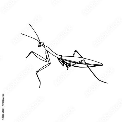 Solid black silhouette of a preying mantis in a strike pose, predatory insect, sharp limb detail, white background. clean vector illustration ideal...