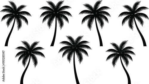 Set of seven black palm tree silhouettes isolated on a plain white background for design. Vector