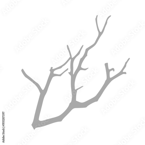 dried tree shadow effect with transparent background.