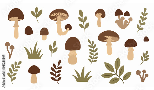 Hand drawn forest mushrooms plants and leaves vector set with woodland botanical elements isolated on white background