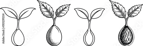 Vector set of germinating seeds and young plant sprouts with leaves in hand drawn vintage style and simple clean outlines.