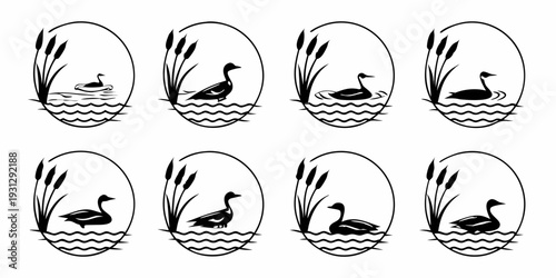 Eight distinct illustrations of ducks in various natural settings and poses.
