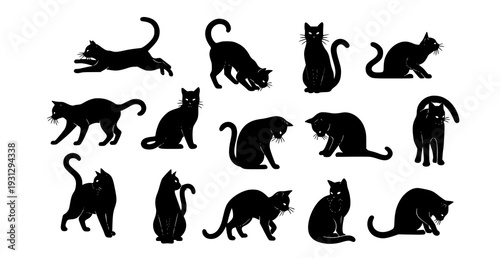 Minimal Black Cat Silhouette Collection in Various Poses Halloween Vector Set