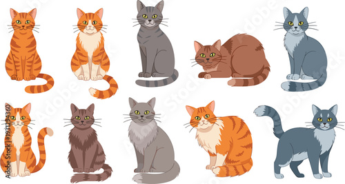 Cute Domestic Cat Vector Set Featuring Various Breeds and Colors Including Ginger Tabby, Grey Shorthair, and Fluffy Calico Cats in Different Sitting and Standing Poses