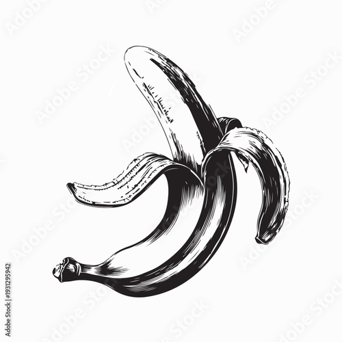 Peeled Banana Black and White Vector Illustration On White Background