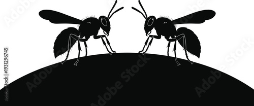 Bee silhouettes facing each other on curved surface, insect symmetrical design for nature artwork, pollination illustration for environmental themed graphic