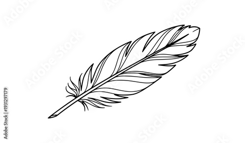 Vintage Engraved Feather Vector Illustration – Hand Drawn Botanical Line Art