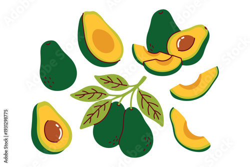 Nutrient rich avocado set with fruits on branches and various slices for vegetarian diet stickers healthy snack illustrations or organic farm market marketing