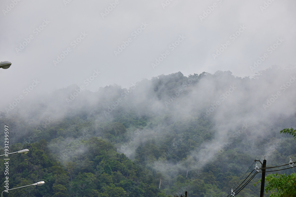 Fototapeta premium Misty Green Mountain Forest with Power Lines
